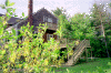 Ryan3.gif (201330 bytes)