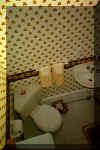 smith bath.jpg (46395 bytes)